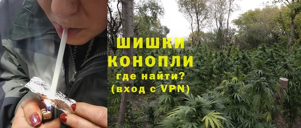 прущие грибы Аркадак