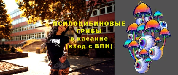 гашик Балабаново