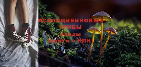 скорость Арсеньев