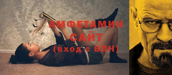 прущие грибы Аркадак