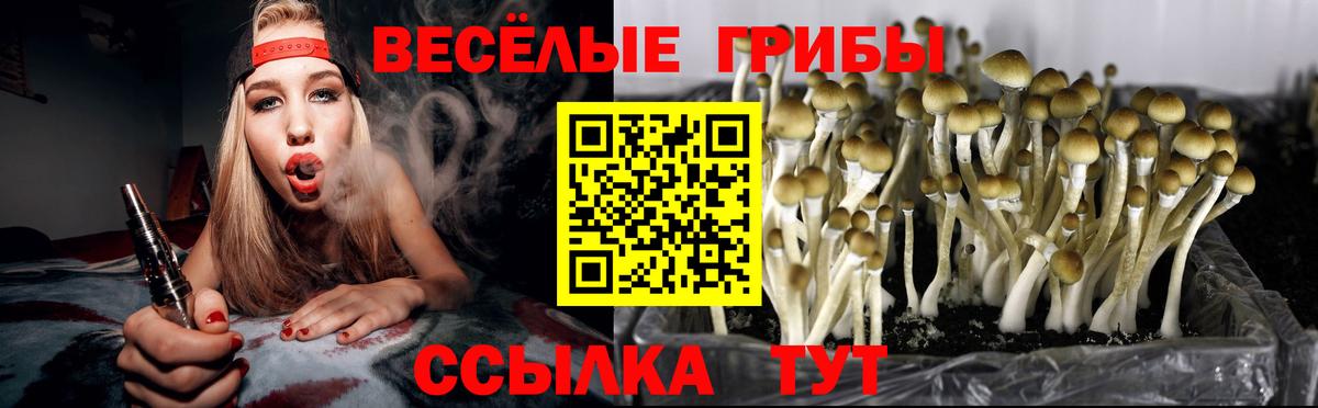 Галлюциногенные грибы Cubensis  Вход с VPN  купить наркоту  Галлюциногенные грибы Psilocybine cubensis  Сердобск 